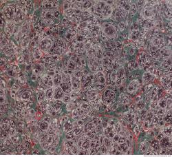 Photo Textures of Book Historical